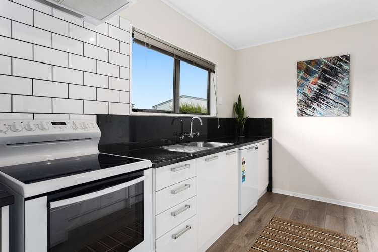 86 Main Street Edgecumbe_7