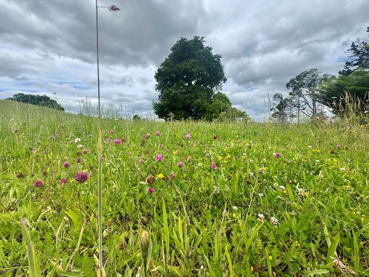 30C State Highway 2_5