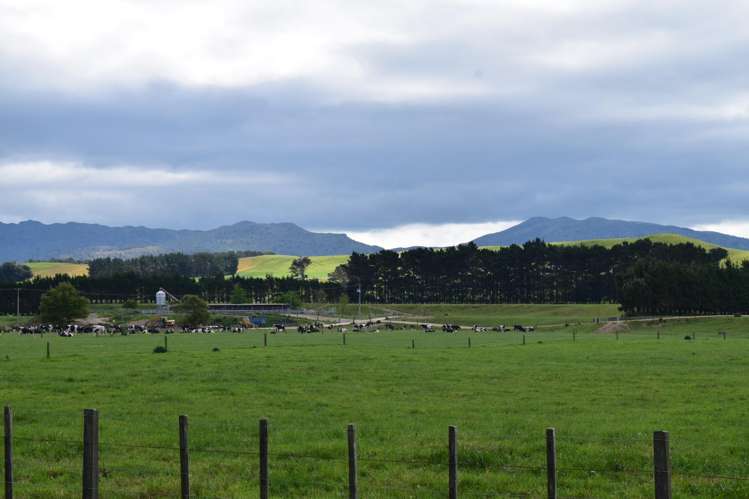 434 Pukehoi Road Eketahuna_10