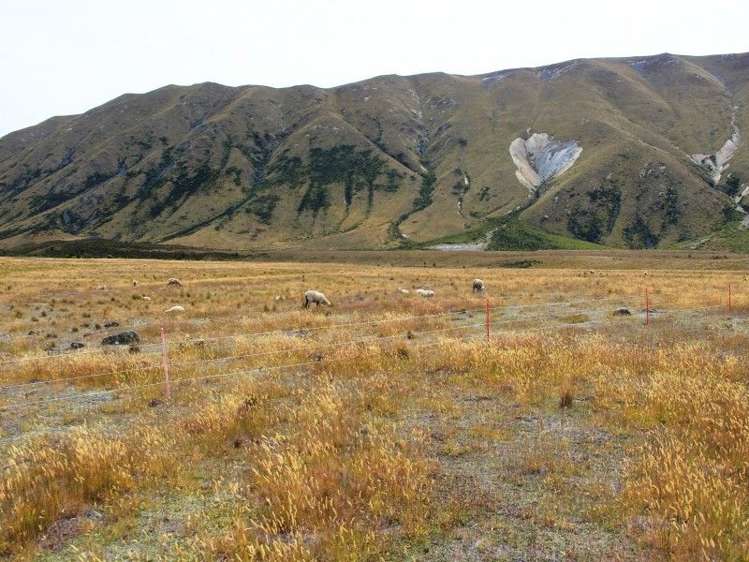 426 Manuka Terrace Twizel_1