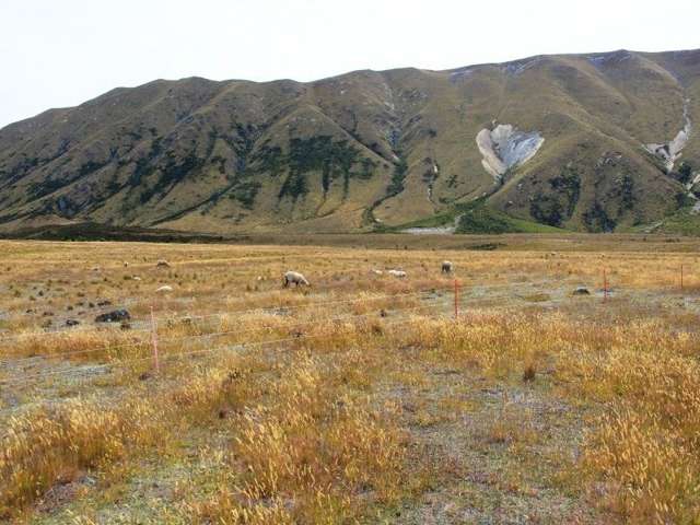 426 Manuka Terrace Twizel_1