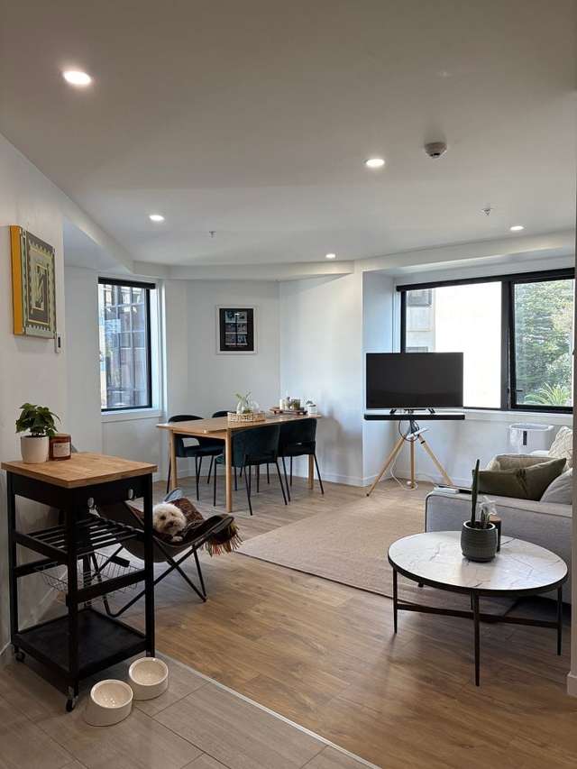 Pet friendly in Auckland central