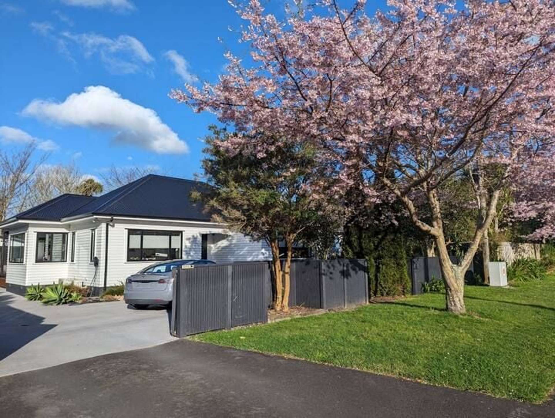 4 Graham Street Hamilton East_0