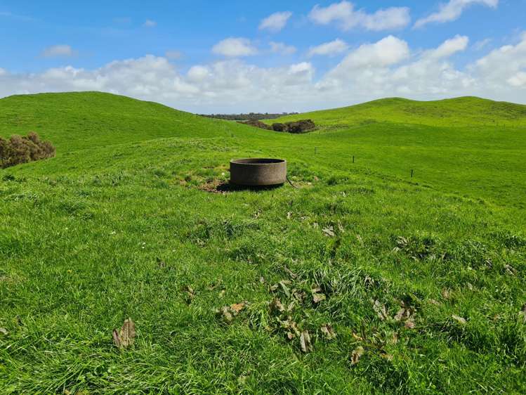 3009 Carrington Road Okato_12