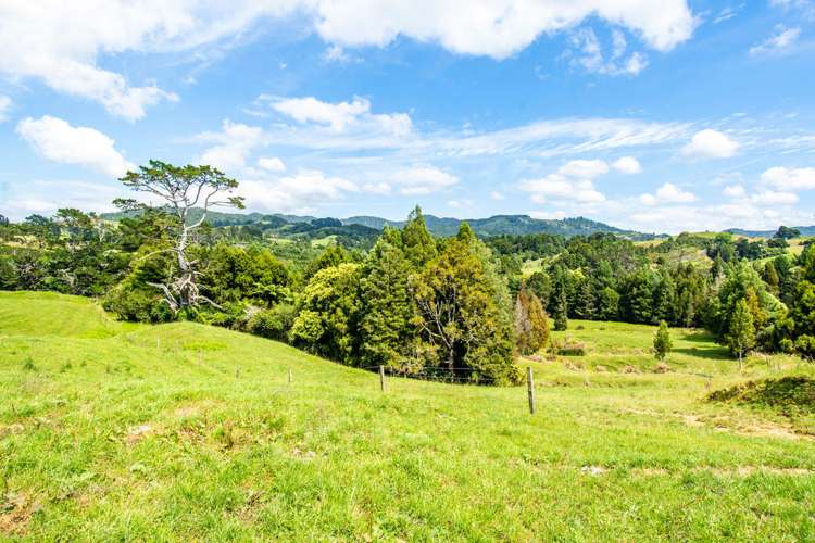 210 Waitekauri Road Waikino_22