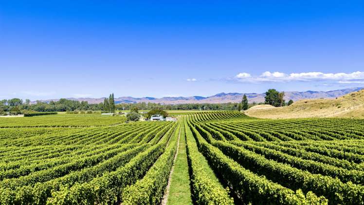 1224 Kaituna-Tuamarina Road Kaituna_15