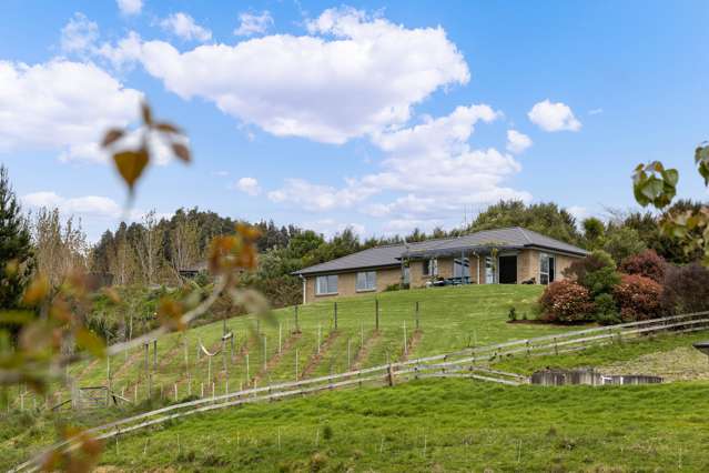181 Bayer Road Puhoi_2