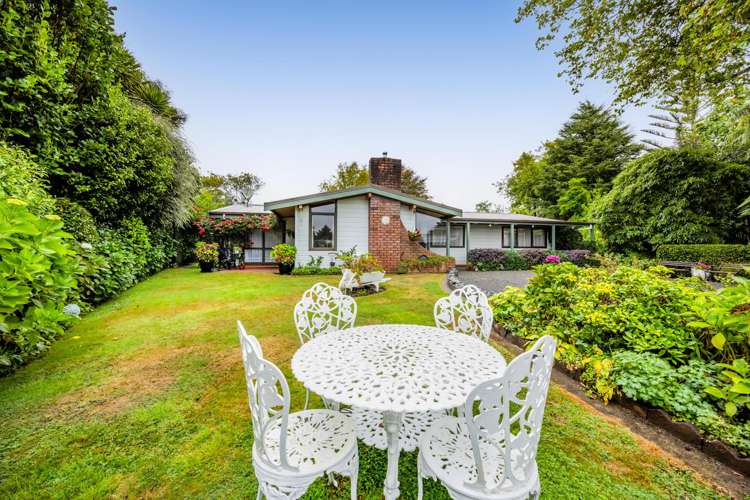 87c Rata Street Inglewood_22