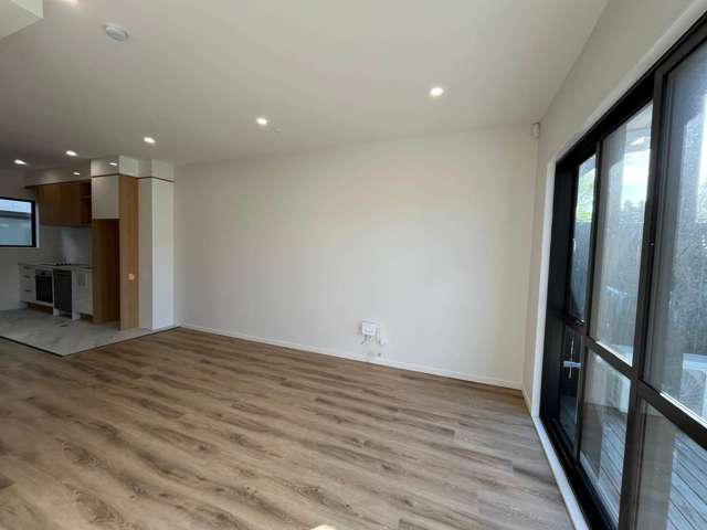 Elliot Street Papakura_3