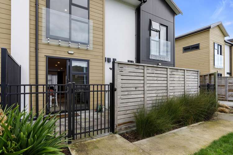 33 Te Ara O Papatahi Wainuiomata_14