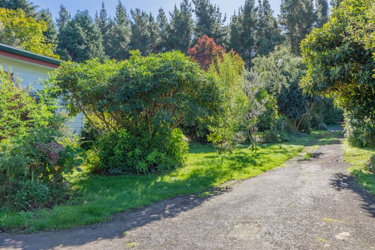 97 Matheson Road Tikokino_15