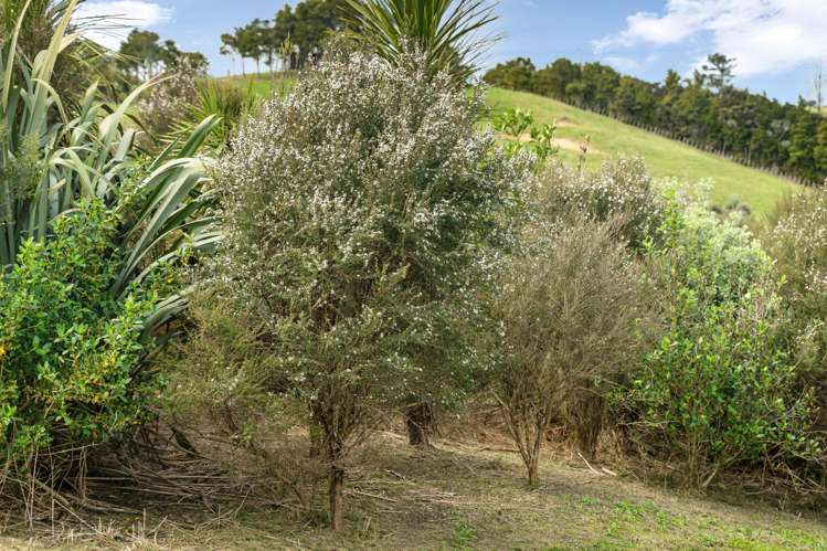 133 Devich Road Mangawhai_24