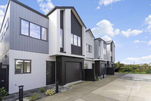 176c Princes Street Pukekohe_1