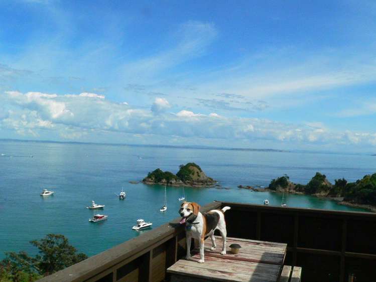 30 Woody Bay Road Rakino Island_15