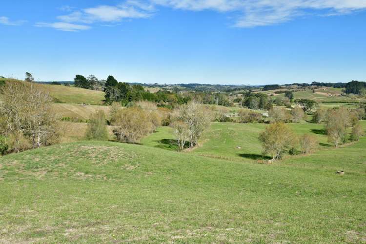 323 Kahikatea Flat Road Waitoki_23