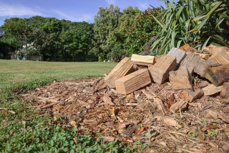 377 Tararua Road Levin_19