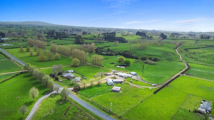 63 Harbottle Road Morrinsville_26