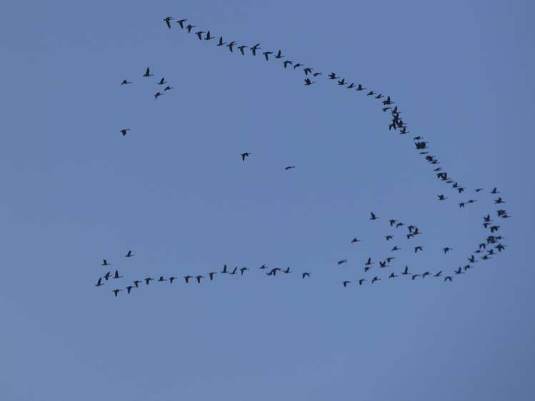 3 Bay Road Riverton_20