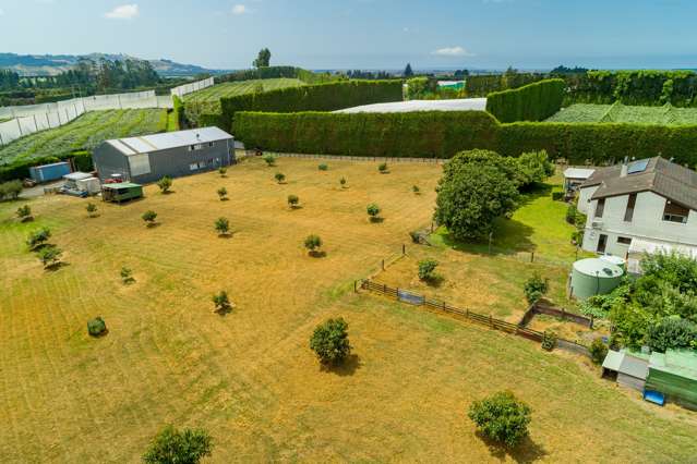 361 Manoeka Road Te Puke_4