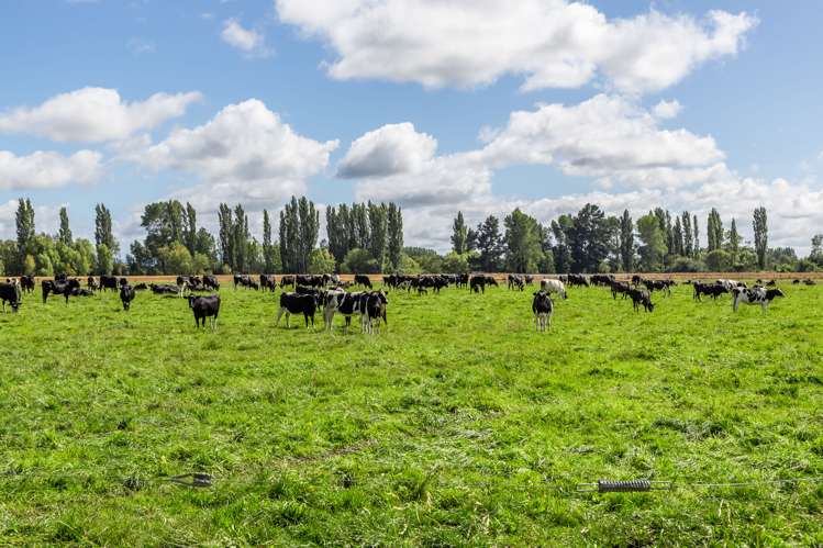 589 Coutts Island Road Coutts Island_27