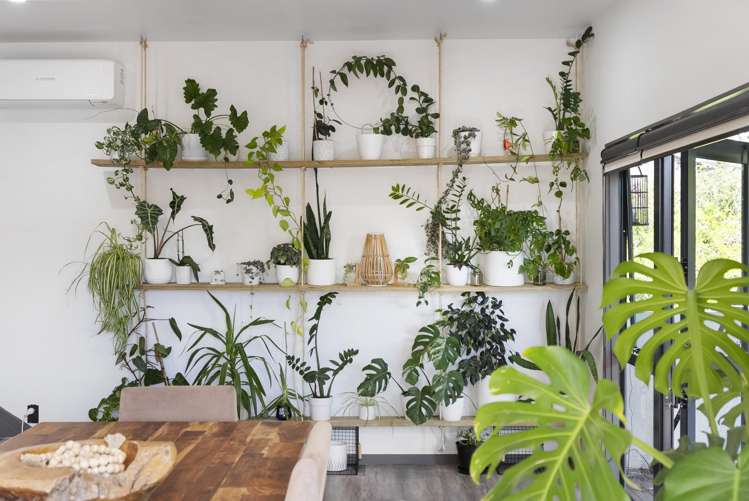 8/19 Langana Avenue Browns Bay_7