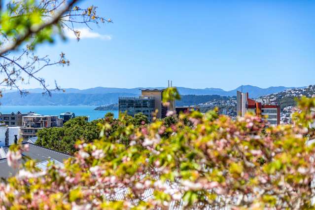 24 Talavera Terrace Kelburn_3