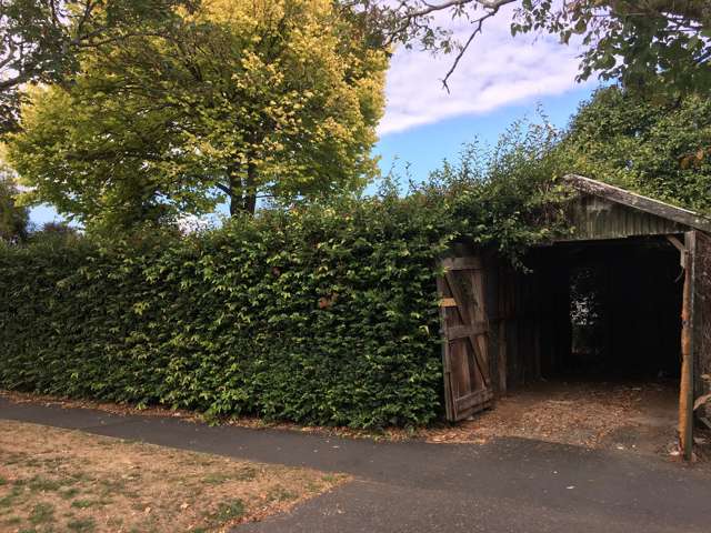 15 Opoia Road Claudelands_2