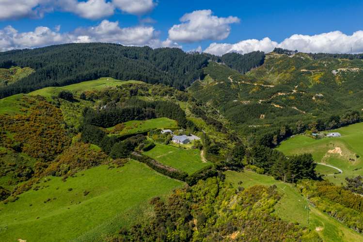 450a Flightys Road Judgeford_24