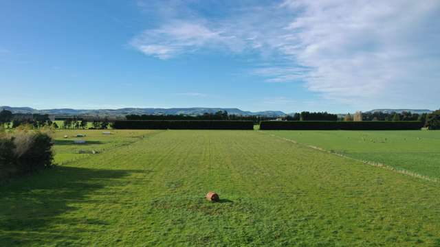 85 George Street Edendale_2