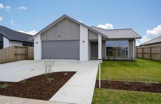 Smart Start or Savvy Investment