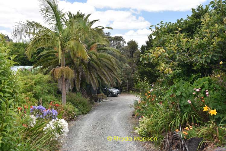 318 Franklin Road Paparoa_24