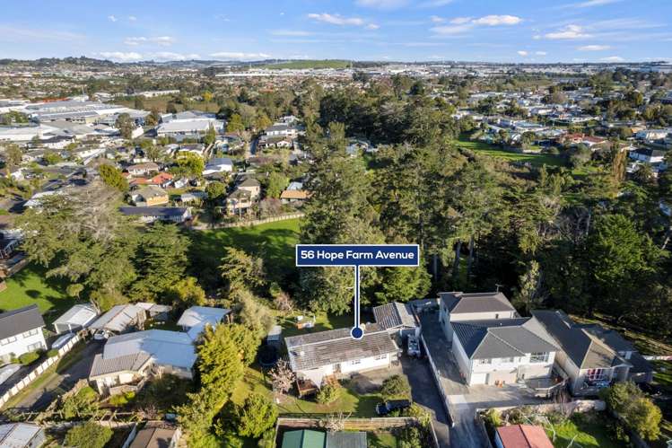 56 Hope Farm Avenue Pakuranga Heights_7