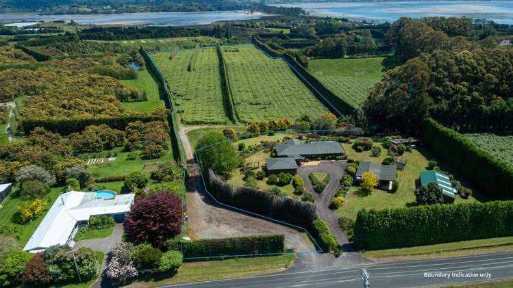 215 Ongare Point Road Tahawai_11