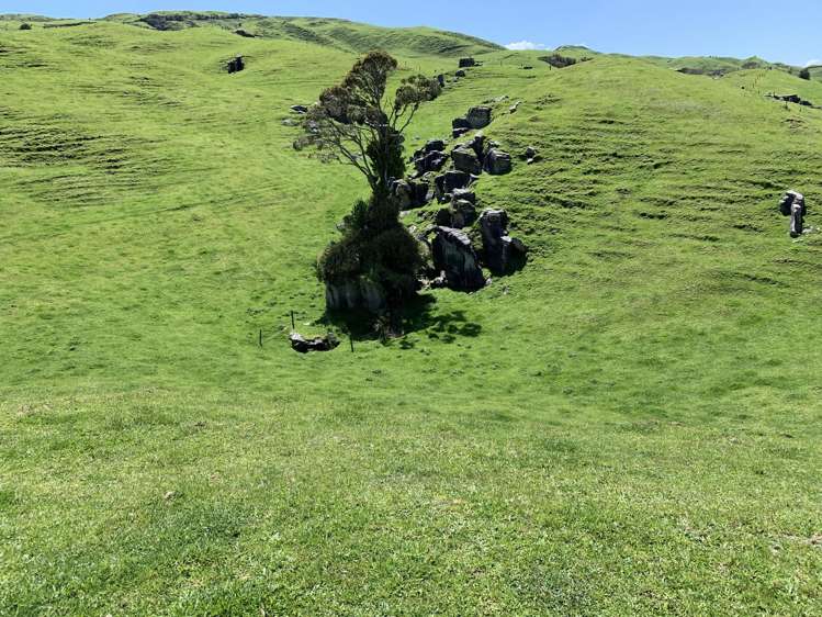 2896 State Highway 3 Awakino_33