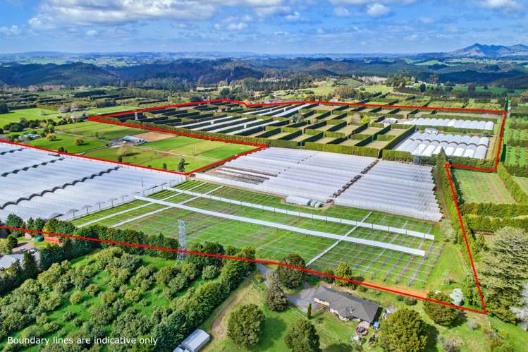 162 Pukeatua Road Maungatapere_24