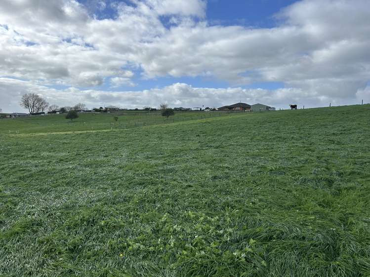 173 Ngahape Road Te Awamutu_9