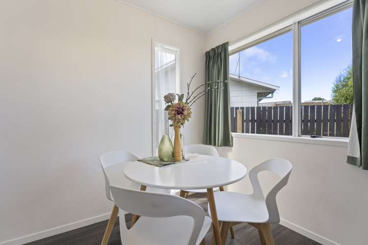 25 Grenville Street Levin_8