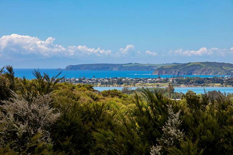 70 Upper Whangateau Road Big Omaha_7