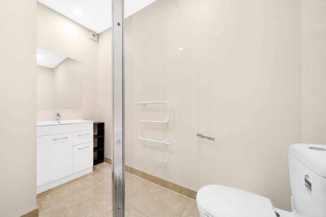 119 Te Aparangi Papakura_4