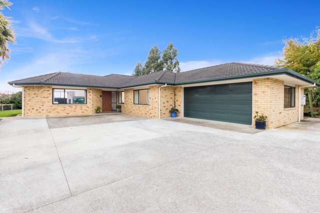 113 Fitzgerald Road Drury_1