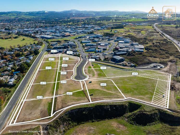 204 Crown Road Tauhara_3