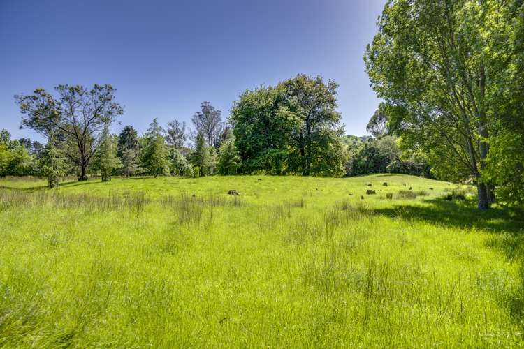 2412 Kahuranaki Road Elsthorpe_8