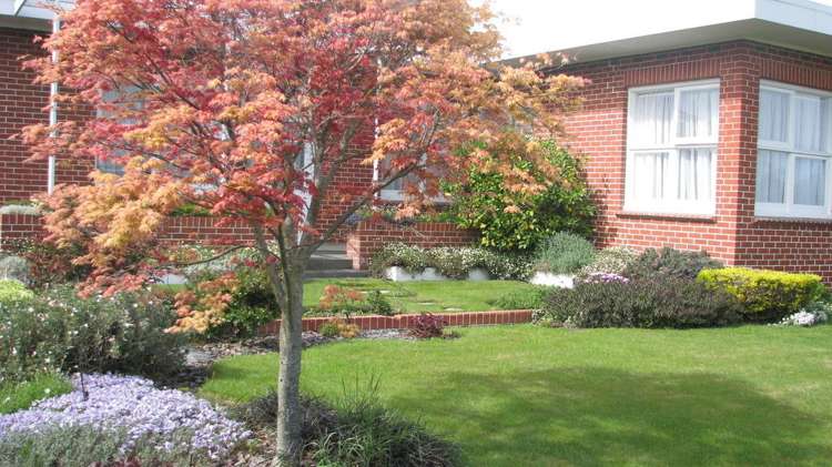 18 Bridge Street Netherby_7