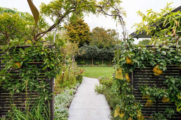 23 North Street Palmerston North_15