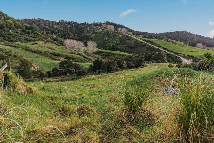 88 Waere Valley Lane Warkworth_15