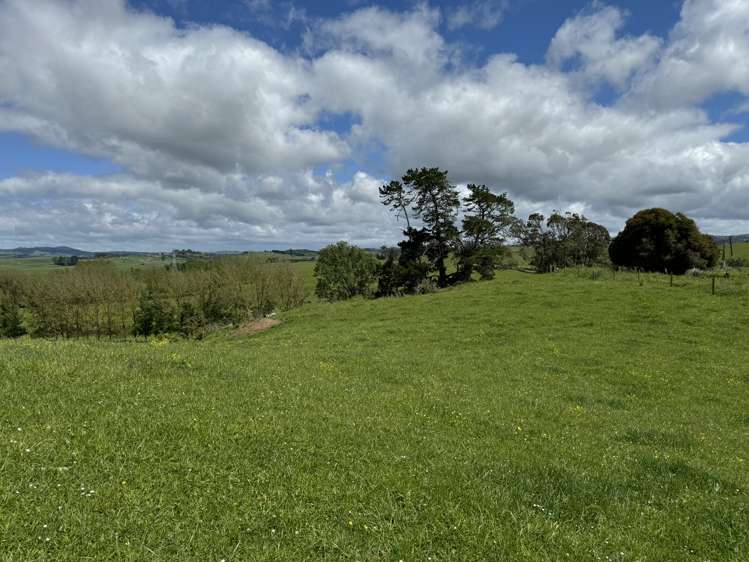 Hetherington Road and Waikokowai Roads Huntly_6