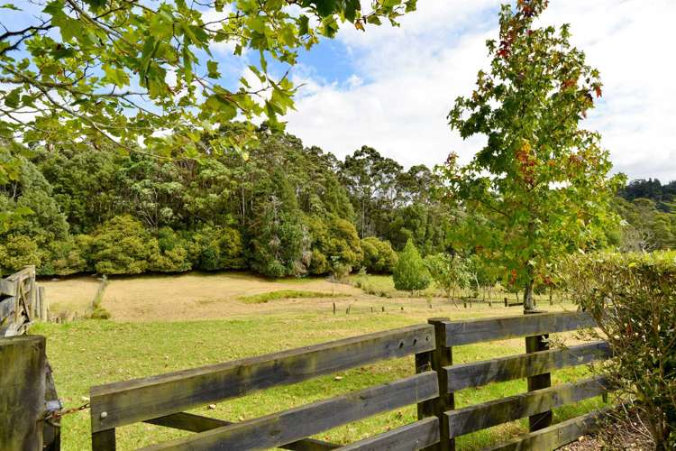 50 Wright Road Dairy Flat_16