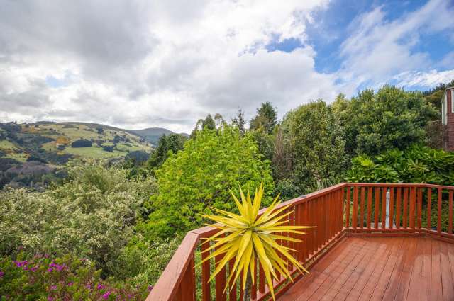 195 Signal Hill Road Opoho_2