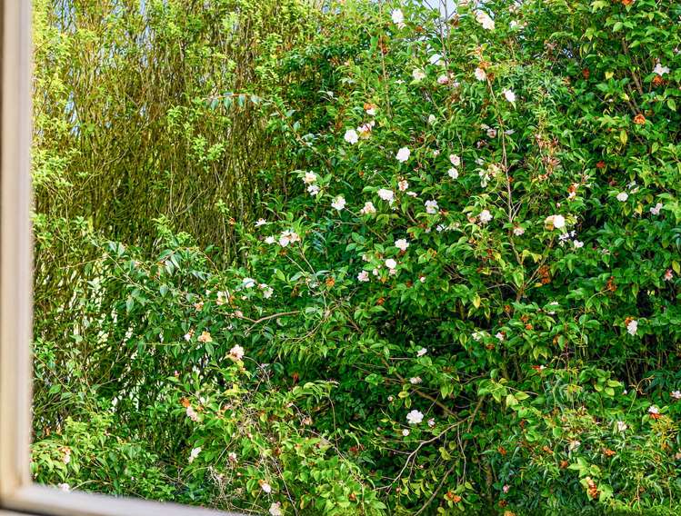 271A Clarkin Road Fairfield_8