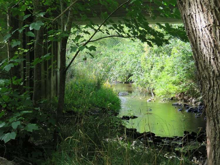 1238 Ashley Gorge Road Glentui_14